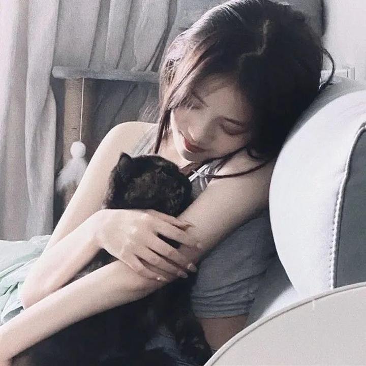 红龟红乌龟:小岛物语